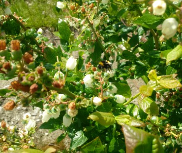 IMG 20170525 163436